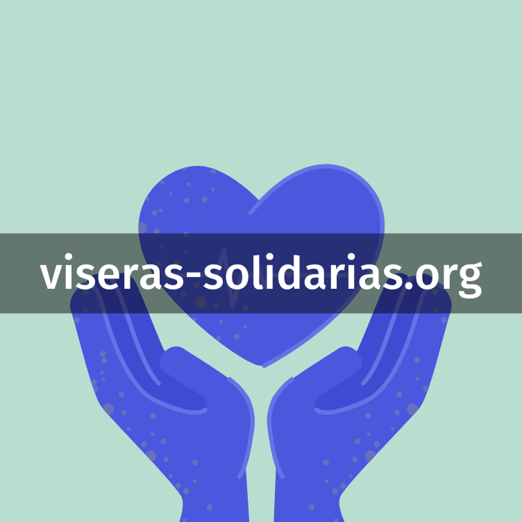 Viseras