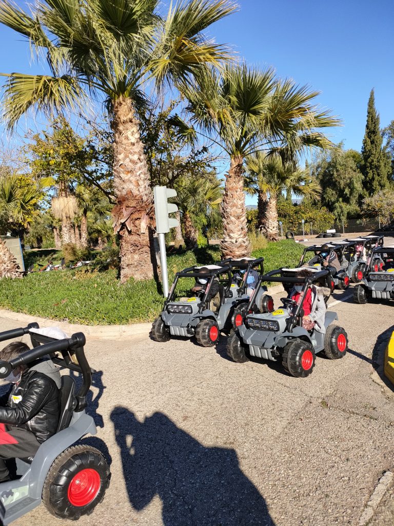 IMG20201228113118 768x1024