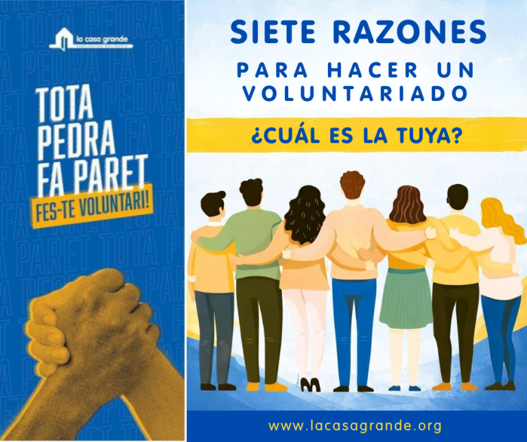 7 razones